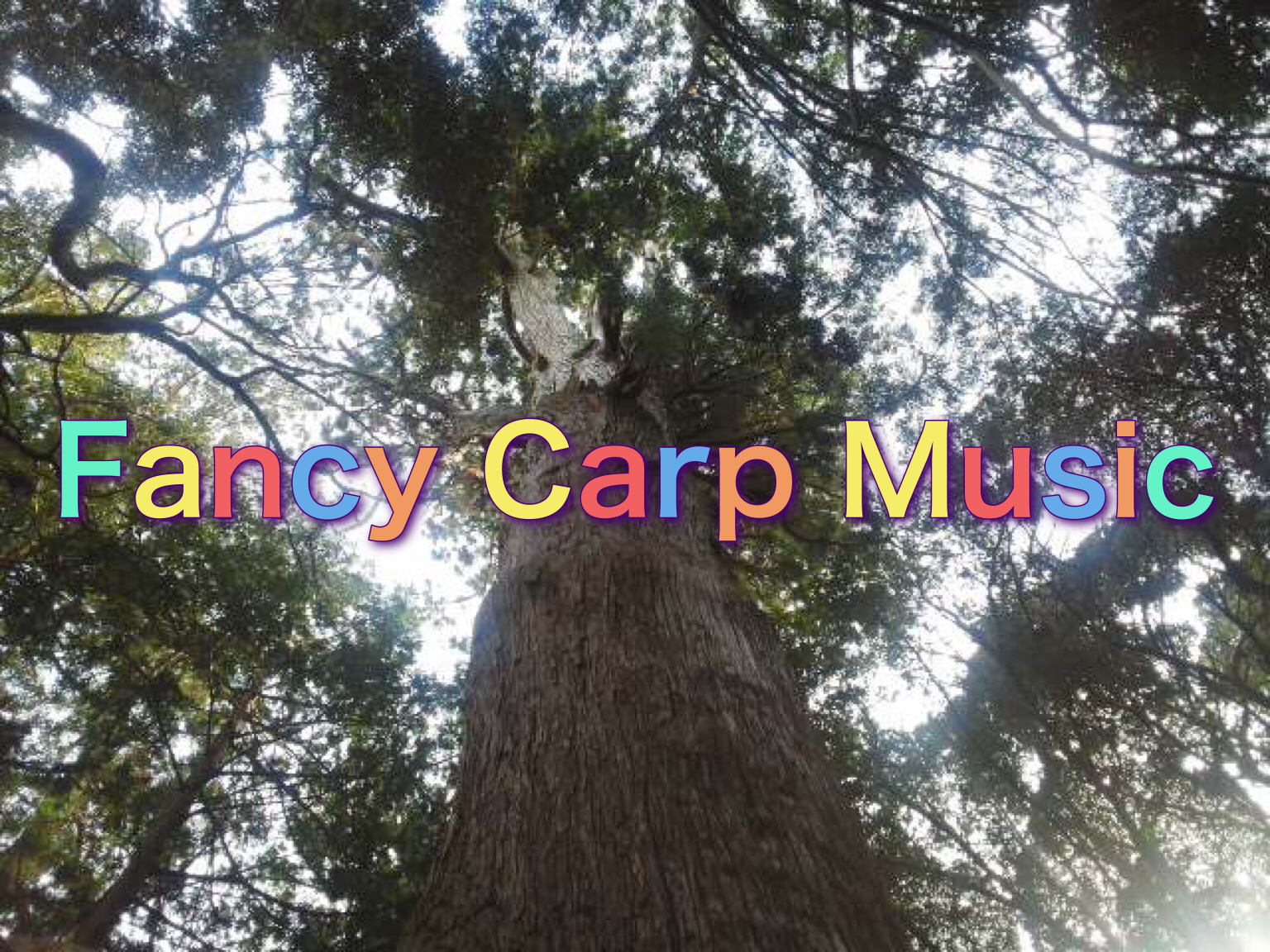 Fancy Carp Music